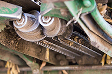 Chain Rolls
